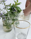 Foraged Elderflower Cordial & a Botanical Spritzer Recipe