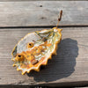 Goldenflower: Medium Oyster & Pearl incense dish
